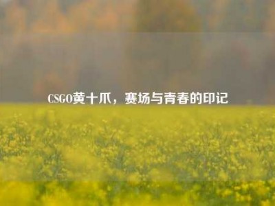 CSGO黄十爪，赛场与青春的印记