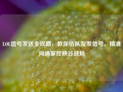 LOL信号发送全攻略，教你给队友发信号，精准沟通掌控峡谷战局