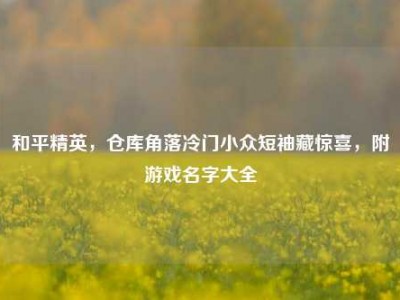 和平精英，仓库角落冷门小众短袖藏惊喜，附游戏名字大全