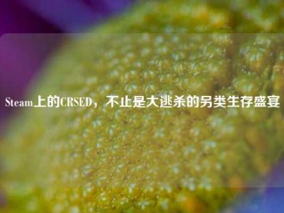 Steam上的CRSED，不止是大逃杀的另类生存盛宴