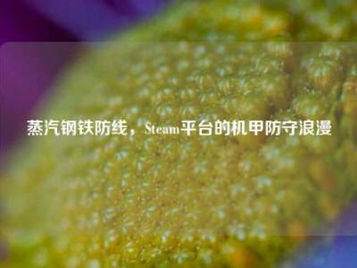 蒸汽钢铁防线，Steam平台的机甲防守浪漫
