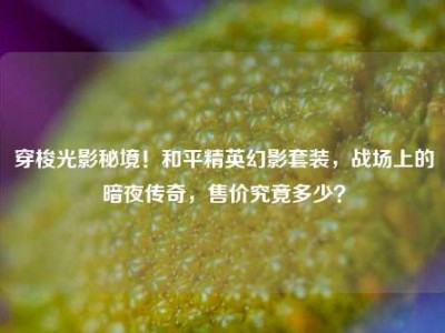 穿梭光影秘境！和平精英幻影套装，战场上的暗夜传奇，售价究竟多少？
