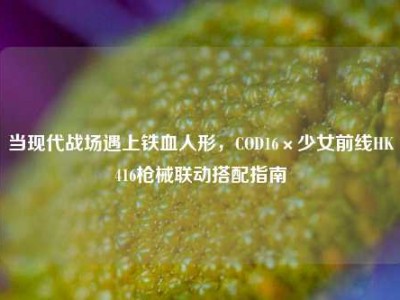 当现代战场遇上铁血人形，COD16×少女前线HK416枪械联动搭配指南