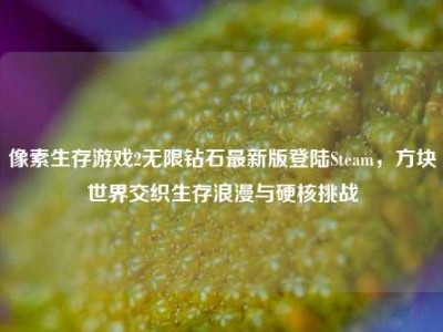 像素生存游戏2无限钻石最新版登陆Steam，方块世界交织生存浪漫与硬核挑战