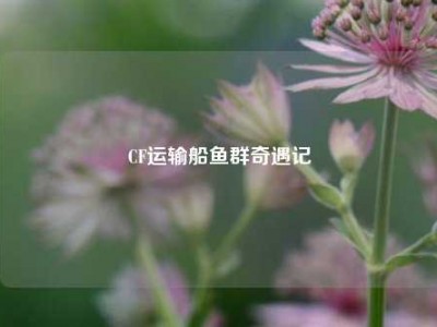 CF运输船鱼群奇遇记