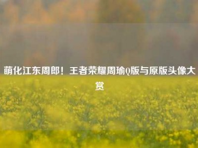 萌化江东周郎！王者荣耀周瑜Q版与原版头像大赏