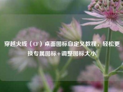 穿越火线（CF）桌面图标自定义教程，轻松更换专属图标+调整图标大小