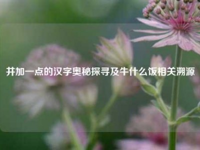 井加一点的汉字奥秘探寻及牛什么饭相关溯源