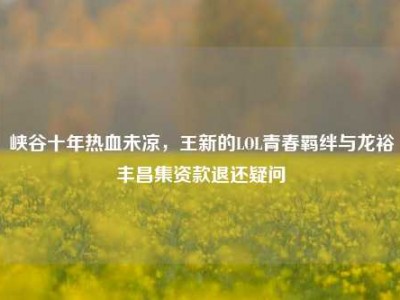 峡谷十年热血未凉，王新的LOL青春羁绊与龙裕丰昌集资款退还疑问