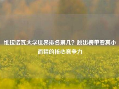 维拉诺瓦大学世界排名第几？跳出榜单看其小而精的核心竞争力