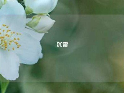 沉雷