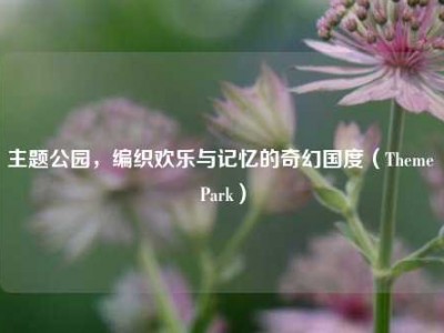 主题公园，编织欢乐与记忆的奇幻国度（Theme Park）