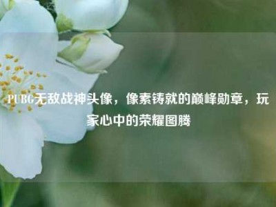 PUBG无敌战神头像，像素铸就的巅峰勋章，玩家心中的荣耀图腾