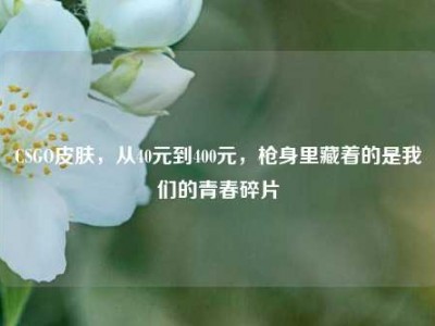 CSGO皮肤，从40元到400元，枪身里藏着的是我们的青春碎片