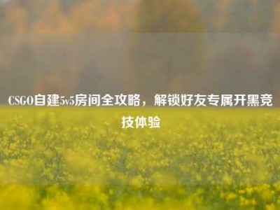 CSGO自建5v5房间全攻略，解锁好友专属开黑竞技体验