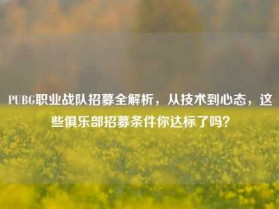 PUBG职业战队招募全解析，从技术到心态，这些俱乐部招募条件你达标了吗？