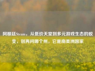 阿根廷Steam，从低价天堂到多元游戏生态的蜕变，别再问哪个州，它是南美洲国家