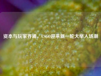 资本与玩家齐涌，CSGO迎来新一轮大举入场潮