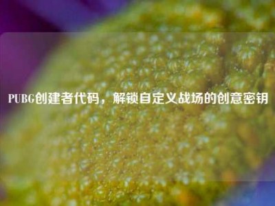 PUBG创建者代码，解锁自定义战场的创意密钥
