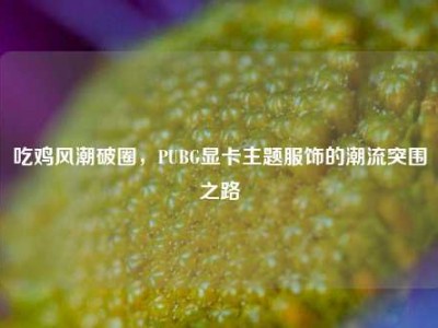吃鸡风潮破圈，PUBG显卡主题服饰的潮流突围之路