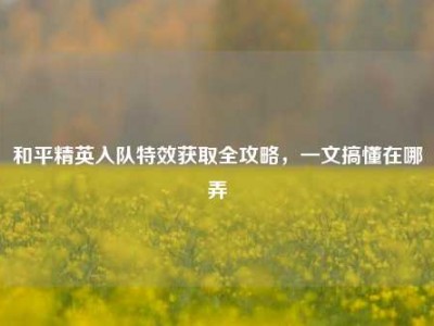 和平精英入队特效获取全攻略，一文搞懂在哪弄