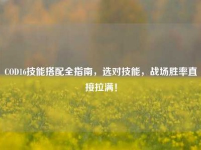 COD16技能搭配全指南，选对技能，战场胜率直接拉满！