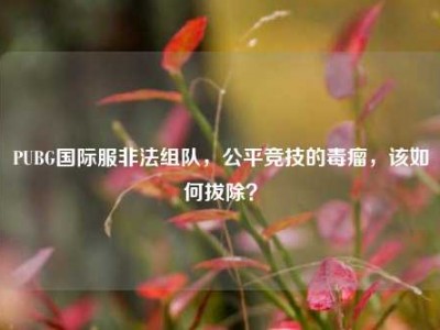 PUBG国际服非法组队，公平竞技的毒瘤，该如何拔除？
