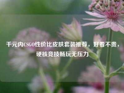 千元内CSGO性价比皮肤套装推荐，好看不贵，硬核竞技畅玩无压力