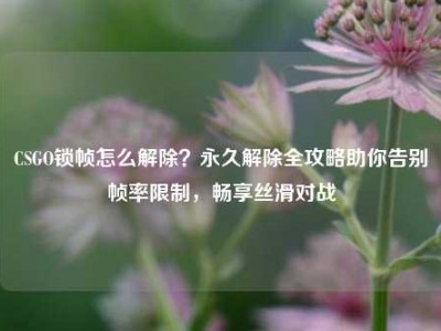 CSGO锁帧怎么解除？永久解除全攻略助你告别帧率限制，畅享丝滑对战