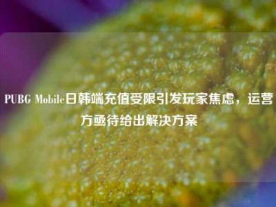 PUBG Mobile日韩端充值受限引发玩家焦虑，运营方亟待给出解决方案