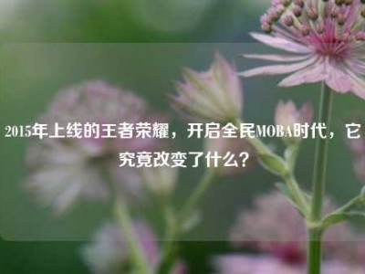 2015年上线的王者荣耀，开启全民MOBA时代，它究竟改变了什么？