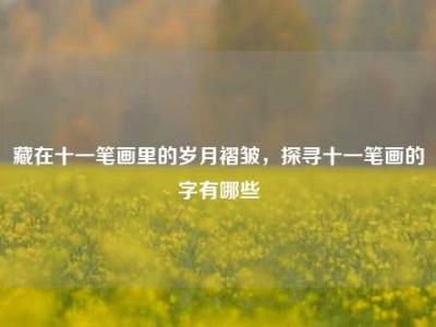 藏在十一笔画里的岁月褶皱，探寻十一笔画的字有哪些