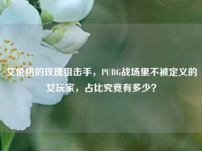 艾伦格的玫瑰狙击手，PUBG战场里不被定义的女玩家，占比究竟有多少？