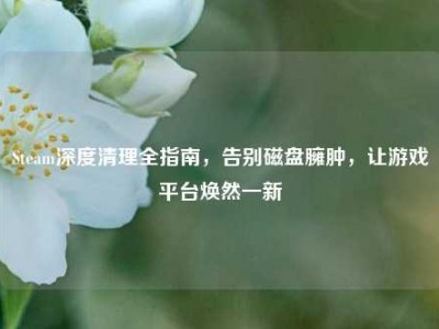 Steam深度清理全指南，告别磁盘臃肿，让游戏平台焕然一新