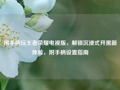 用手柄玩王者荣耀电视版，解锁沉浸式开黑新体验，附手柄设置指南