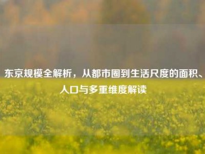 东京规模全解析，从都市圈到生活尺度的面积、人口与多重维度解读