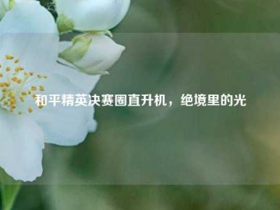 和平精英决赛圈直升机，绝境里的光