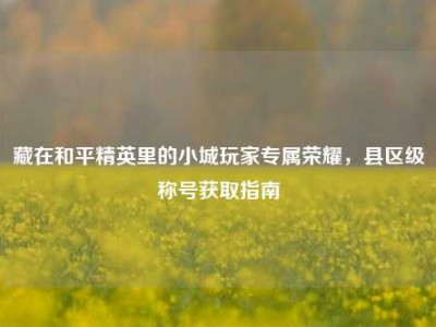藏在和平精英里的小城玩家专属荣耀，县区级称号获取指南