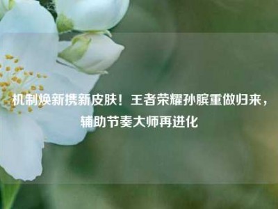 机制焕新携新皮肤！王者荣耀孙膑重做归来，辅助节奏大师再进化