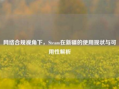 网络合规视角下，Steam在新疆的使用现状与可用性解析