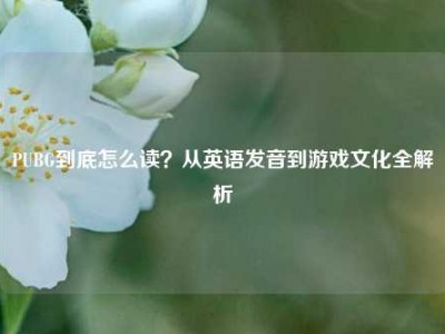 PUBG到底怎么读？从英语发音到游戏文化全解析