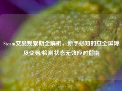 Steam交易观察期全解析，新手必知的安全屏障及交易/检测状态无效应对指南