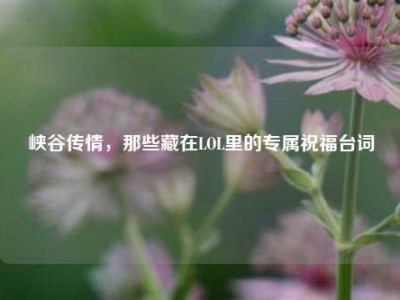 峡谷传情，那些藏在LOL里的专属祝福台词