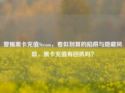 警惕黑卡充值Steam，看似划算的陷阱与隐藏风险，黑卡充值有回执吗？