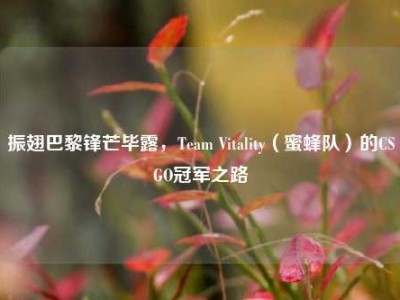 振翅巴黎锋芒毕露，Team Vitality（蜜蜂队）的CSGO冠军之路