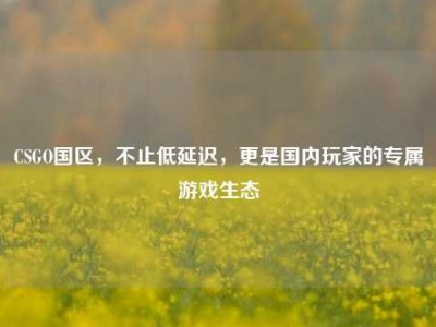 CSGO国区，不止低延迟，更是国内玩家的专属游戏生态