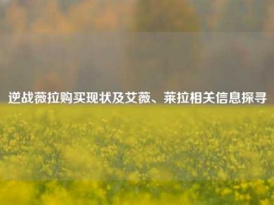 逆战薇拉购买现状及艾薇、莱拉相关信息探寻