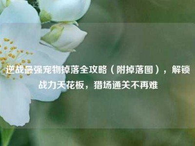逆战最强宠物掉落全攻略（附掉落图），解锁战力天花板，猎场通关不再难