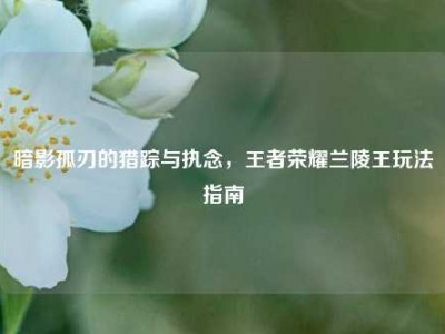 暗影孤刃的猎踪与执念，王者荣耀兰陵王玩法指南