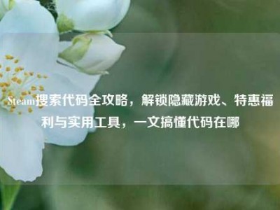 Steam搜索代码全攻略，解锁隐藏游戏、特惠福利与实用工具，一文搞懂代码在哪